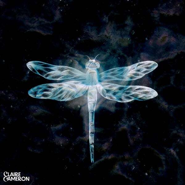 Cover art for Dragonfly